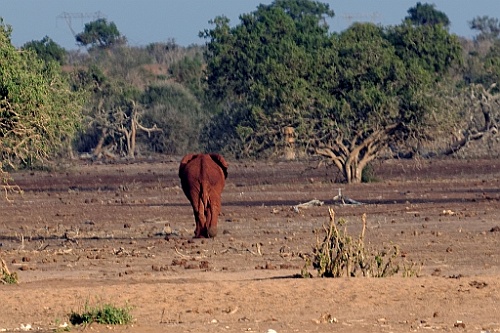 Kenia (315)